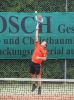 Tennis Vereinsmeisterschaften