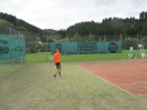 Tennis Vereinsmeisterschaften