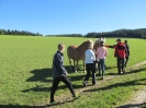 Vereinswandertag