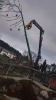 50er Baum Hier