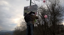 50er Baum Hier