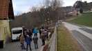 50er Baum Hier
