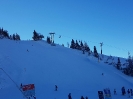 2 Tages Schiausflug nach Flachau/Wagrein