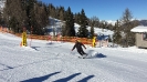 2 Tages Schiausflug nach Flachau/Wagrein