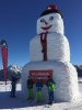 2 Tages Schiausflug nach Flachau/Wagrein