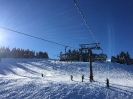 2 Tages Schiausflug nach Flachau/Wagrein
