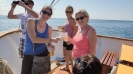 3 Tages Ausflug Umag_172