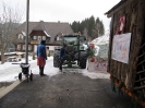 Faschingsumzug Ratten_17