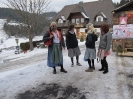 Faschingsumzug Ratten_22