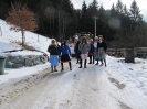 Faschingsumzug Ratten_26