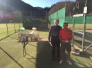 Tennis Vereinsmeisterschaften