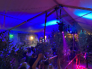 Mühlwiesenparty 2024_101
