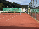 Tennis Vereinsmeisterschaften_37