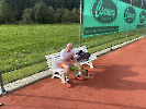 Tennis Vereinsmeisterschaften_42